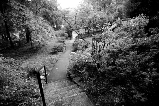 McRae Manor walkway.