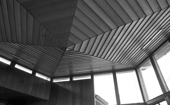 Photo of roof of living room in Serendipity - designed by Ligon Flynn