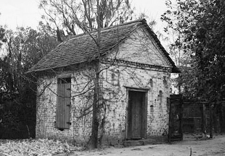 Photo of Woodlands study in SC