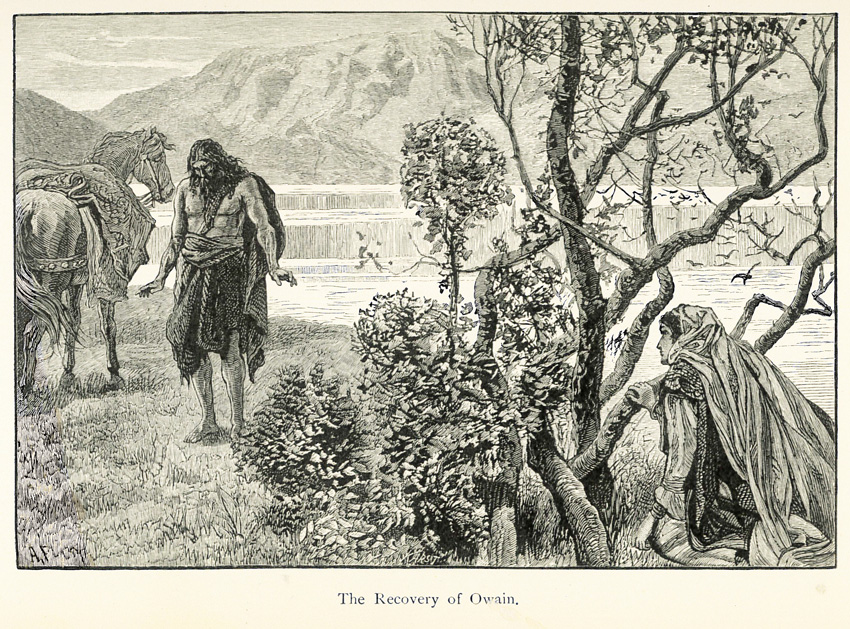Owain in wilderness
