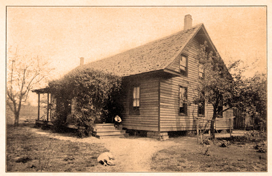Photo of Wilox cottage - part of McAboy hotel