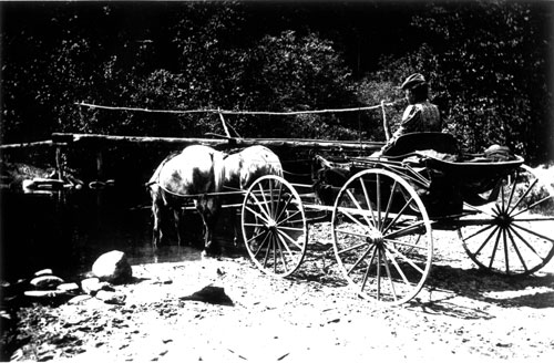 Photograph of Margaret Morley waiting in a horse drawn cart