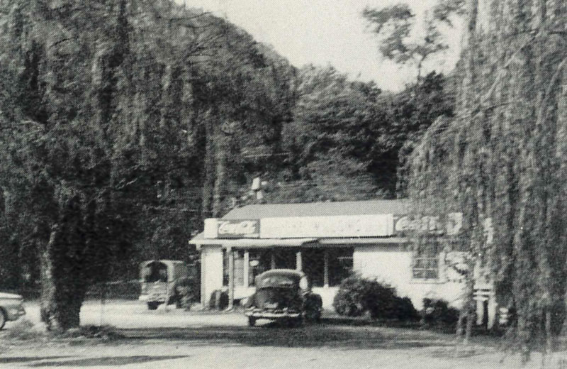 The Willows photo from ad in 1961